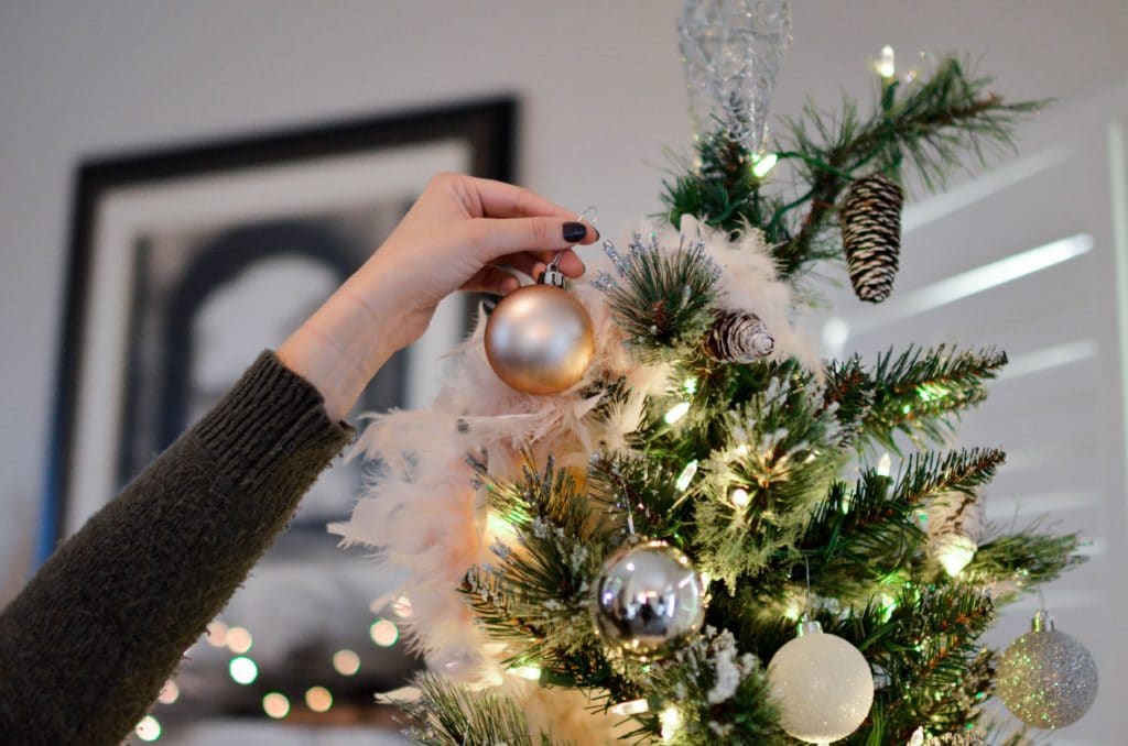 5 Ways to Protect a Christmas Tree from Rodents.