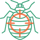 Bed Bug Icon - mason ohio page