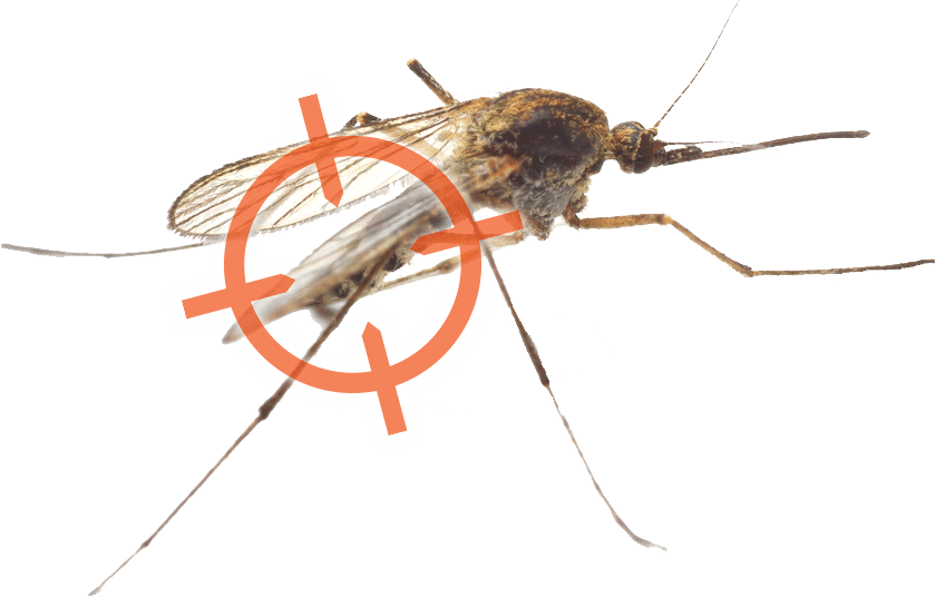 Mosquito Control Cincinnati